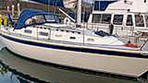 Photo of Mayfly