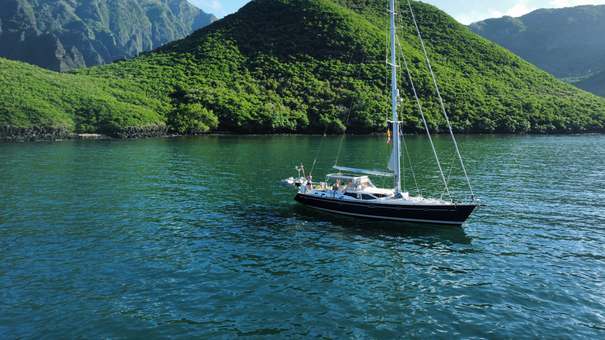 Photo of Sea Pearl