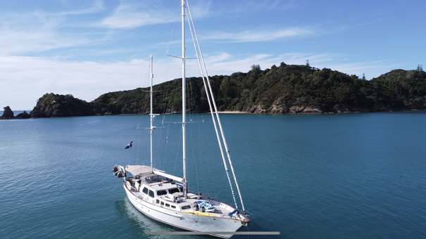 yacht crew wanted nz